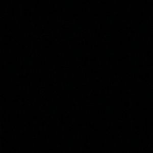 Meet your Posher, Bri